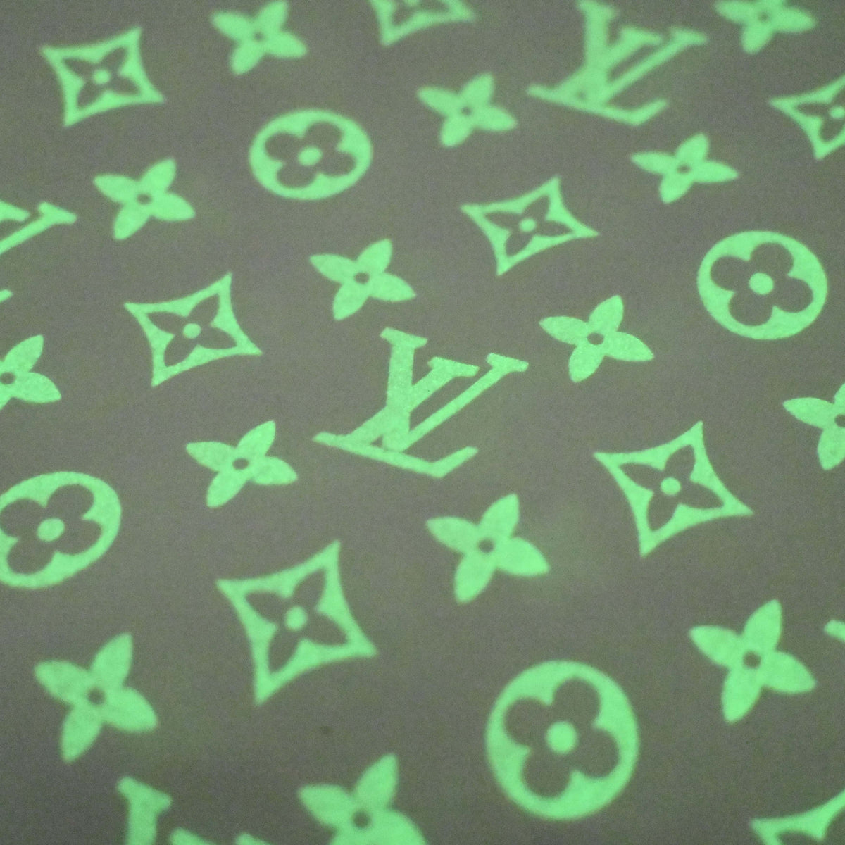 Louis Vuitton Monogram Firefly Phosphorescent Print T-Shirt | Luxury Designer Short-Sleeve Graphic Streetwear Tee